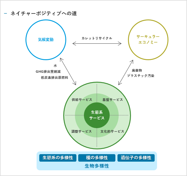 ネイチャーポジティブへの道